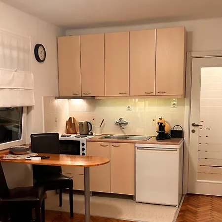Cozy With Parking 公寓 Zemun