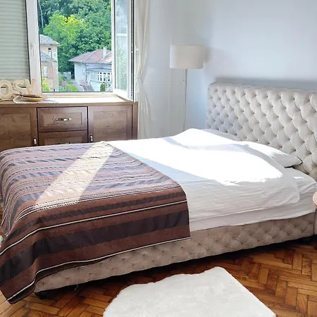 Cozy With Parking 公寓 Zemun